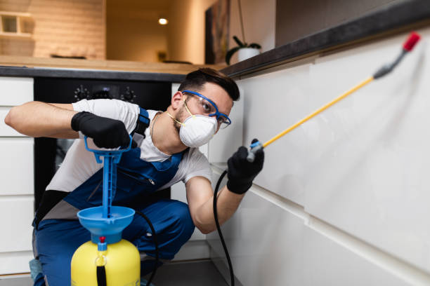 Best Flea Control Services  in Lakeland, MN