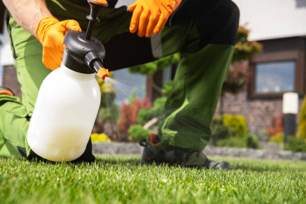 Best Residential Pest Control  in Lakeland, MN