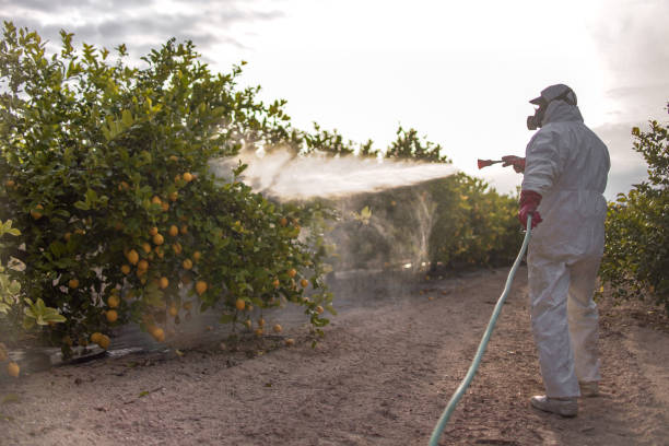 Best Pest Removal Services  in Lakeland, MN