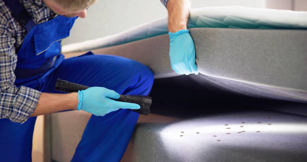 Best Wasp Removal Services  in Lakeland, MN