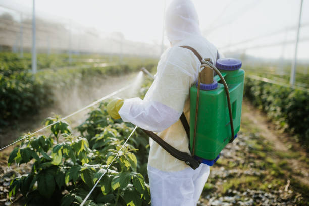 Best Pest Control Treatment  in Lakeland, MN
